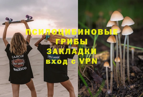 СК Алексеевка