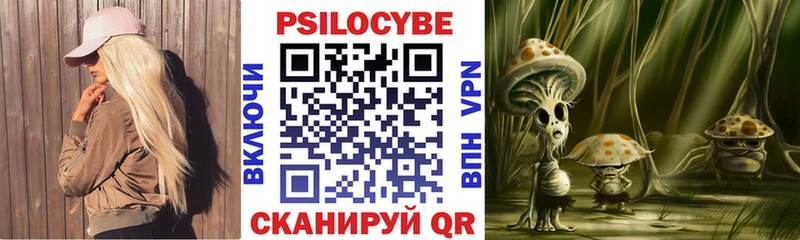Псилоцибиновые грибы Psilocybe  Нижние Серги 